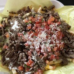 Carne asada fries