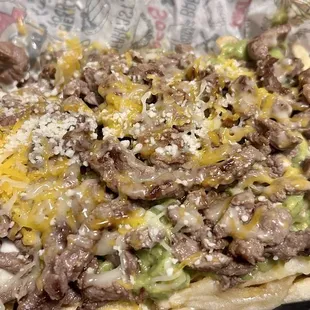 1/2 order of Carne asada fries