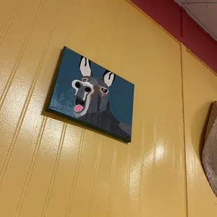 Donkey!