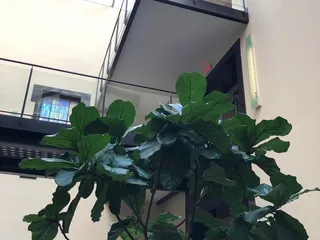 Lake Forest Food & Wine