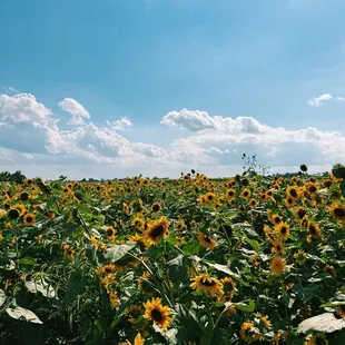 outside