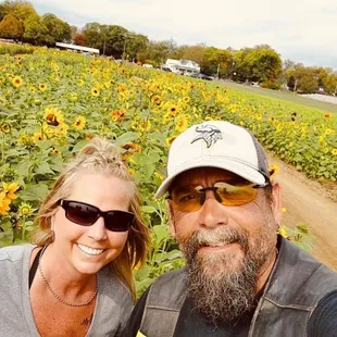 Pumpkin patch and sunflower field