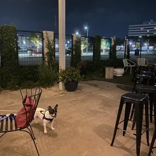 outside
