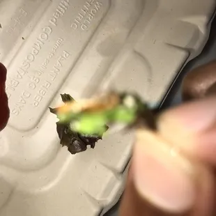 A roach in my Vega tuna sandwich