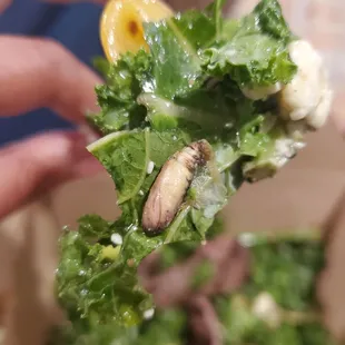 a hand holding a piece of kale salad