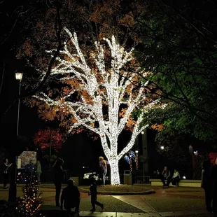 This is the bright tree during Christmas Town at the intersection of Italy and Holiday Hills.  Photo taken November 18, 2021.