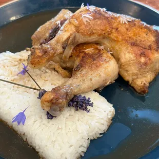 Rice with chicken