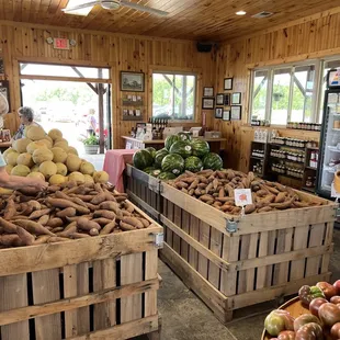 Lots of Melons in late April