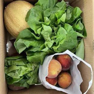 Fall CSA - week 1 small box