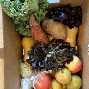 Fall CSA - week 2 small box