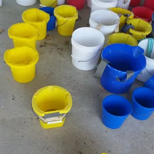 Buckets for your berry picking provided. Multiple sizes.