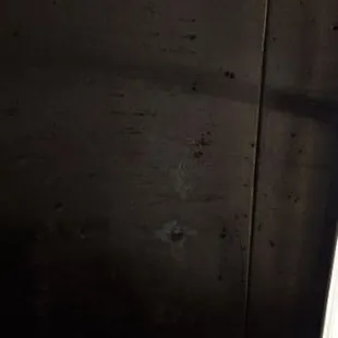 And the roof next to the refrigerator unit which blows mold into the thawing chicken.