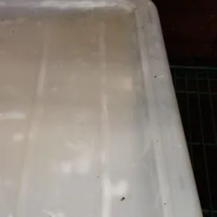 The lids of the containers that hold all your raw chicken for 12-24 hour&apos;s.