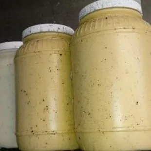 The honey mustard, wall, roof, and green stands all have mold.