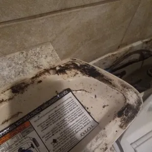Ladies bathroom. Full of mold
