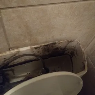 a dirty toilet bowl