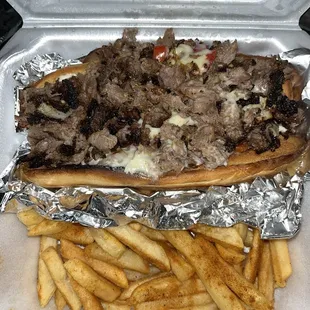 Philly steak and fries
