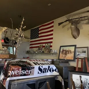 Cool taxidermy and artifacts