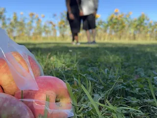 Peck And Bushel Fruit Company