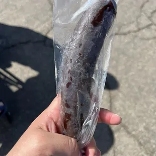 a person holding a hot dog