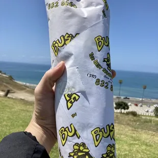 a hand holding a burrito