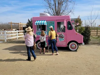 Three Bullies Ice Cream