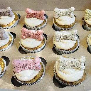 Pupcakes! Dog-friendly cupcakes with all organic ingredients