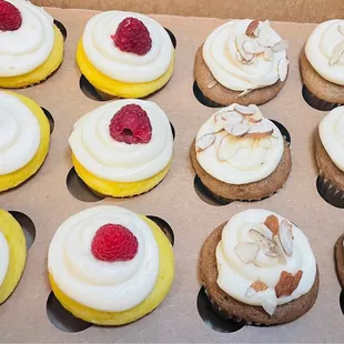 Raspberry Lemonade and Carrot Patch