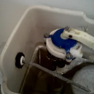 After Busy Living Cleaning detailed work