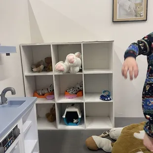 Lots of animals healthy and ready to go home