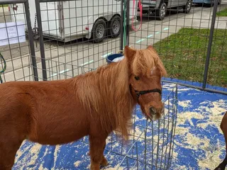 Hawks Ranch Petting Zoo, LLC