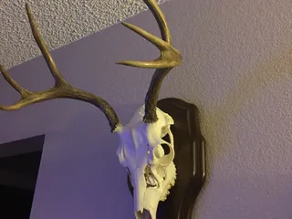 Miller's Southwestern Processing