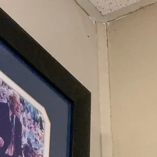 Spider in corner above booth