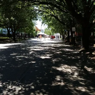 Beautiful day for the Art Fair.