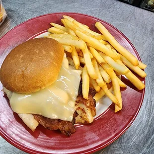 a chicken sandwich and french fries