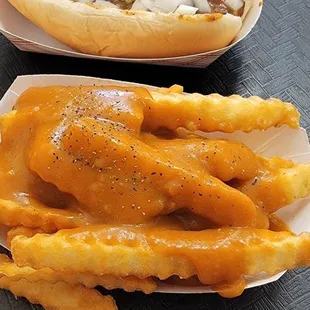 Decent gravy fries