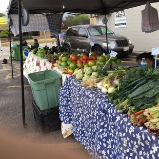 a variety of vegetables on display