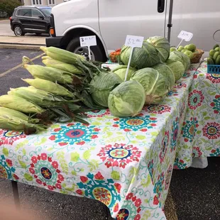 a variety of vegetables on a table