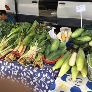 cucumbers, lettuce, and other vegetables