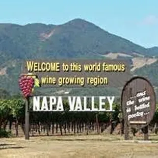 We can take you to some of the finest wineries in Napa Valley and Sonoma Region
