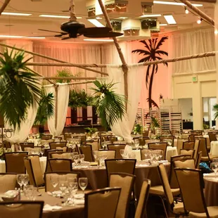 Havana Nights Canopy!