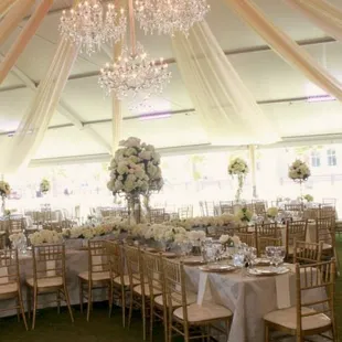 Alluring. Enchanting. Magical.  Beautiful and elegant lighting available through Butler Signature Events.
