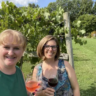 Walking the vineyard