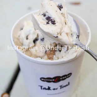 Trick or Treat Ice Cream (Pint)