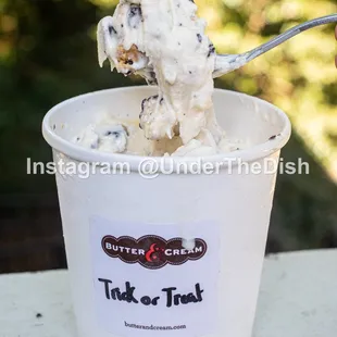 Trick or Treat Ice Cream (Pint)