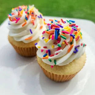 Vanilla Bliss Cupcakes