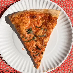 a slice of cheese pizza on a paper plate