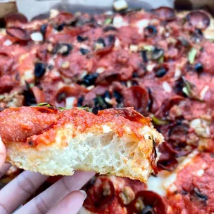 a hand holding a piece of pizza