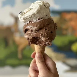 Coconut Almond Crunch and Malt Chocolate Heath are both so delicious!