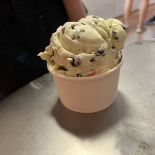 Mint Chocolate Chip